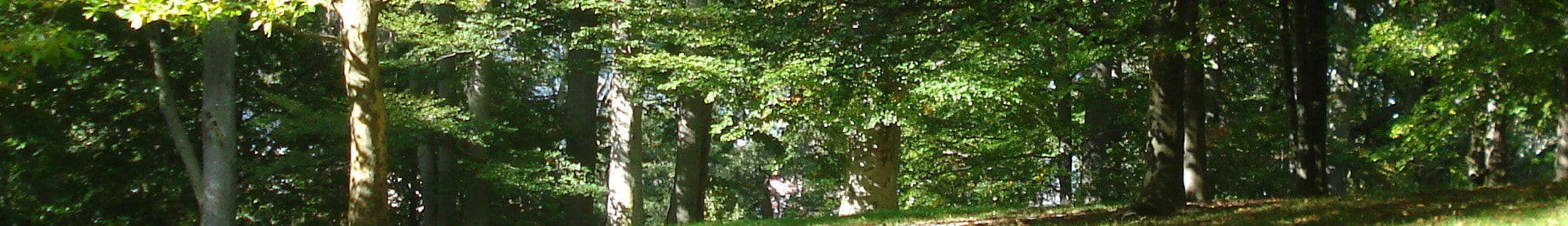 Blackball Community Centre